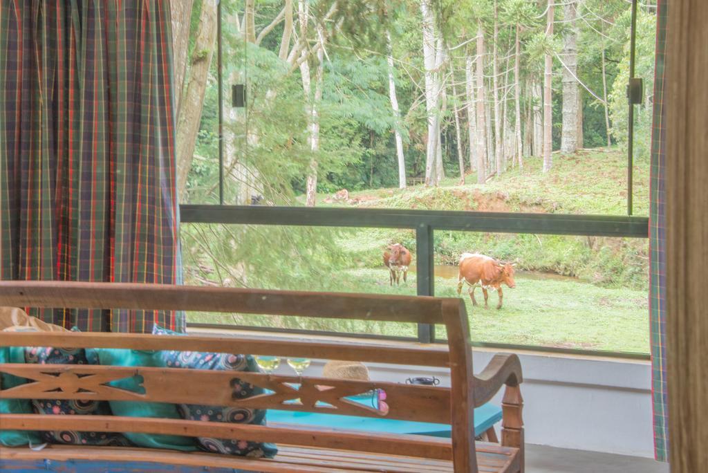 Apartamento Ferias Fazenda Usina 2 보카이나 지 미나스 외부 사진